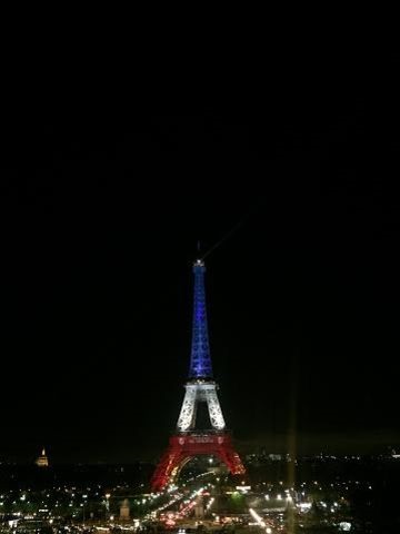 A photo of the Eiffel Tower taken by Ryan Fleischer during his study abroad trip to Paris. Photo courtesy of Ryan Fleischer