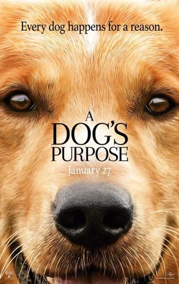 Theatrical poster for “A Dog’s Purpose.” Photo courtesy of wikipedia.org