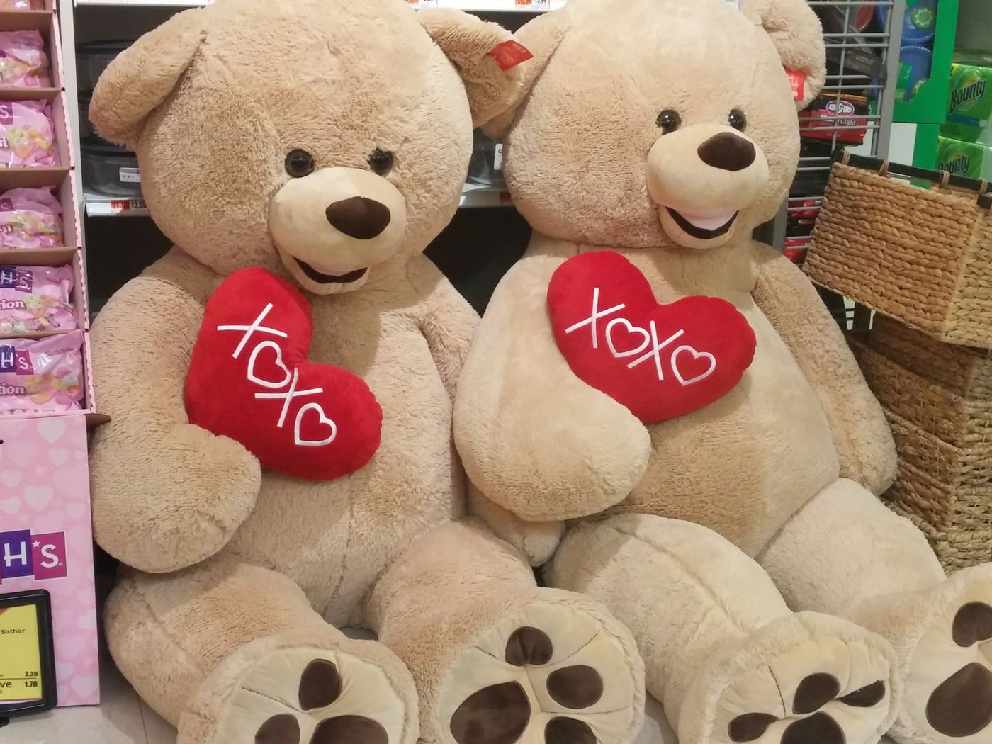 Teddy Bears take up room at ACME market in Montclair as well. Photo by Babee Garcia Photo credit: Babee Garcia