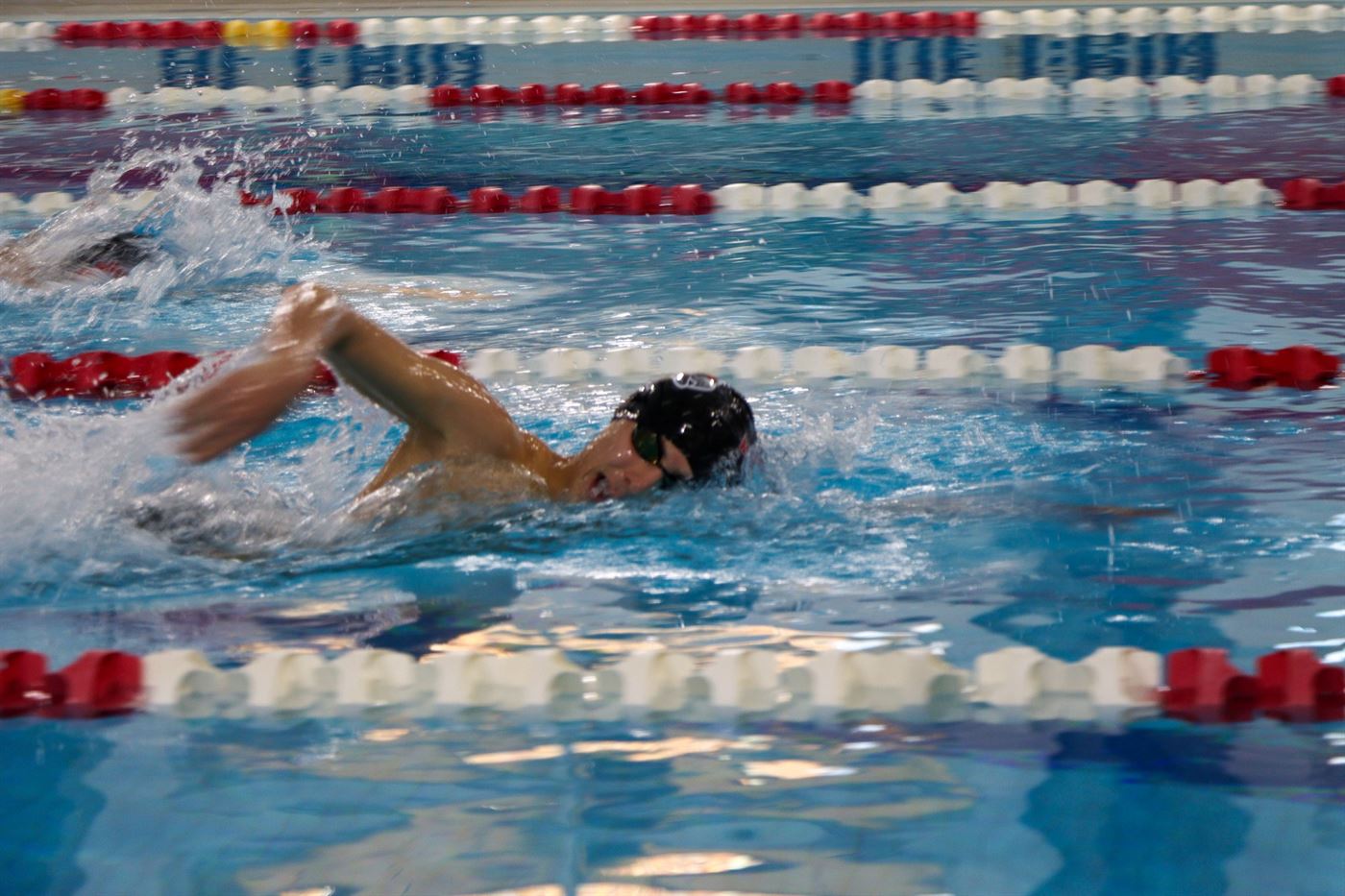 Freshman Alessio Paoloni pushes ahead in the 500 freestyle. Photo courtesy of Matthew Unczowsky