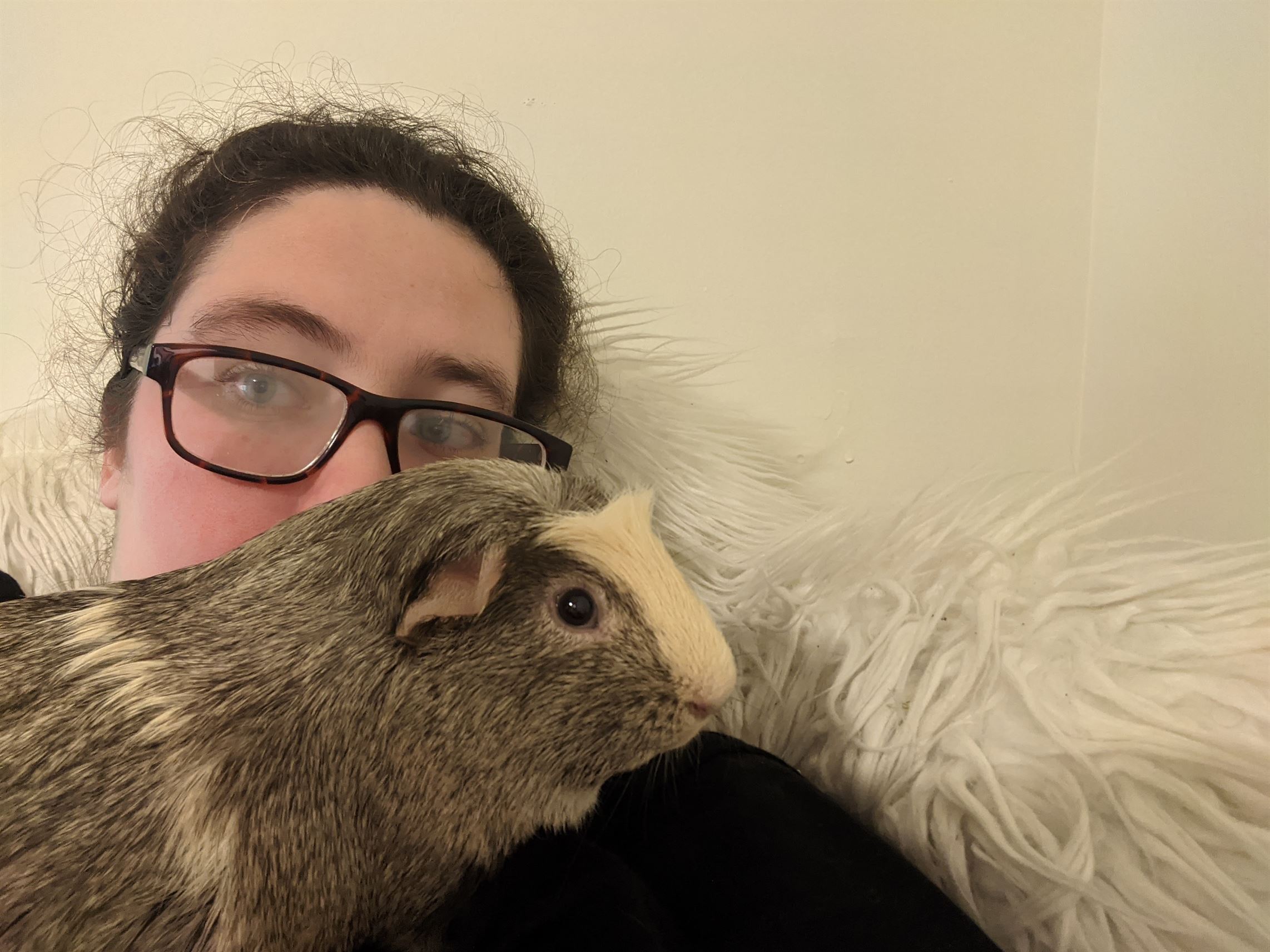 Wicket snuggles me as he has his lap time. Casey Masterson | The Montclarion