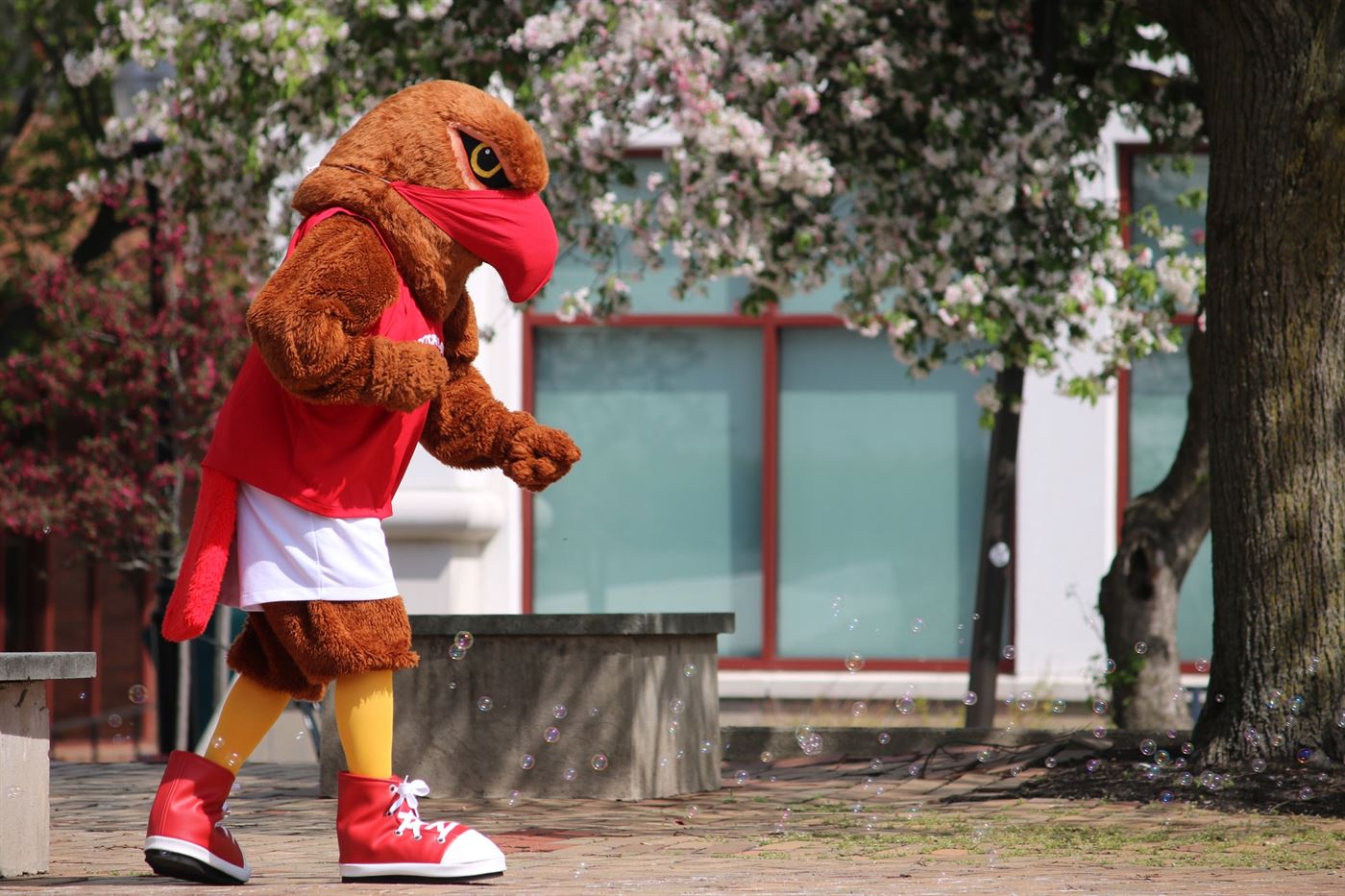Rocky the Red Hawk dances with bubbles at the Earth Day Week Extravaganza at the Quad. Kyra Maffia | The Montclarion