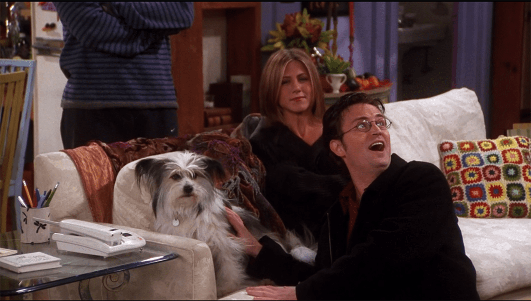 In "The One Where Chandler Doesn&squot;t Like Dogs," Phoebe sneaks a dog into the apartment, not knowing that Chandler hates dogs. Photo courtesy of NBC