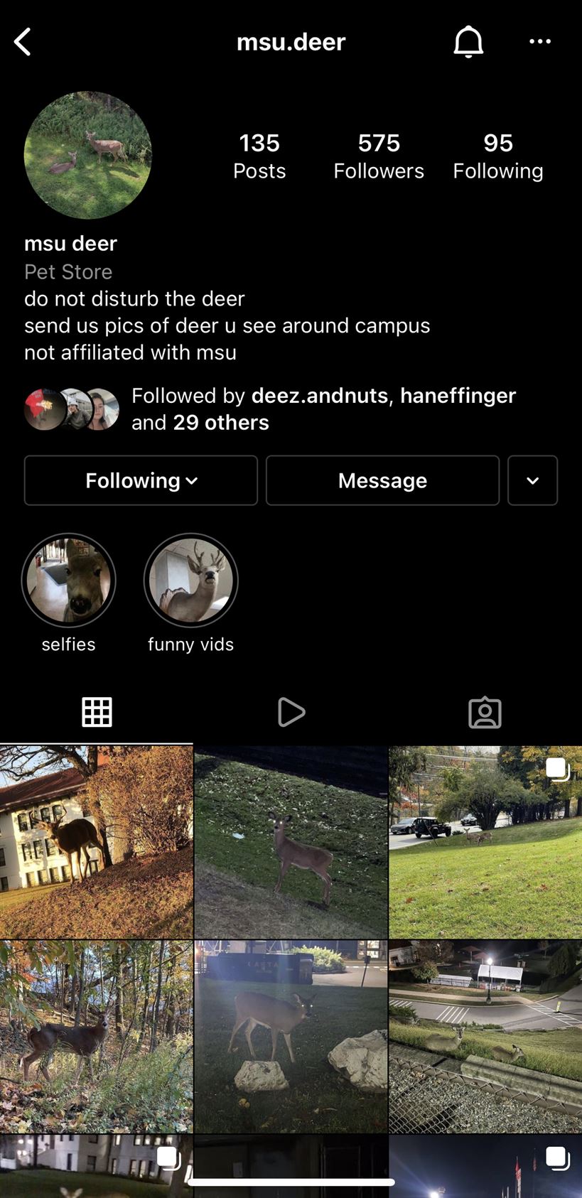A screenshot of @msu.deer on Instagram. Photo courtesy of @msu.deer