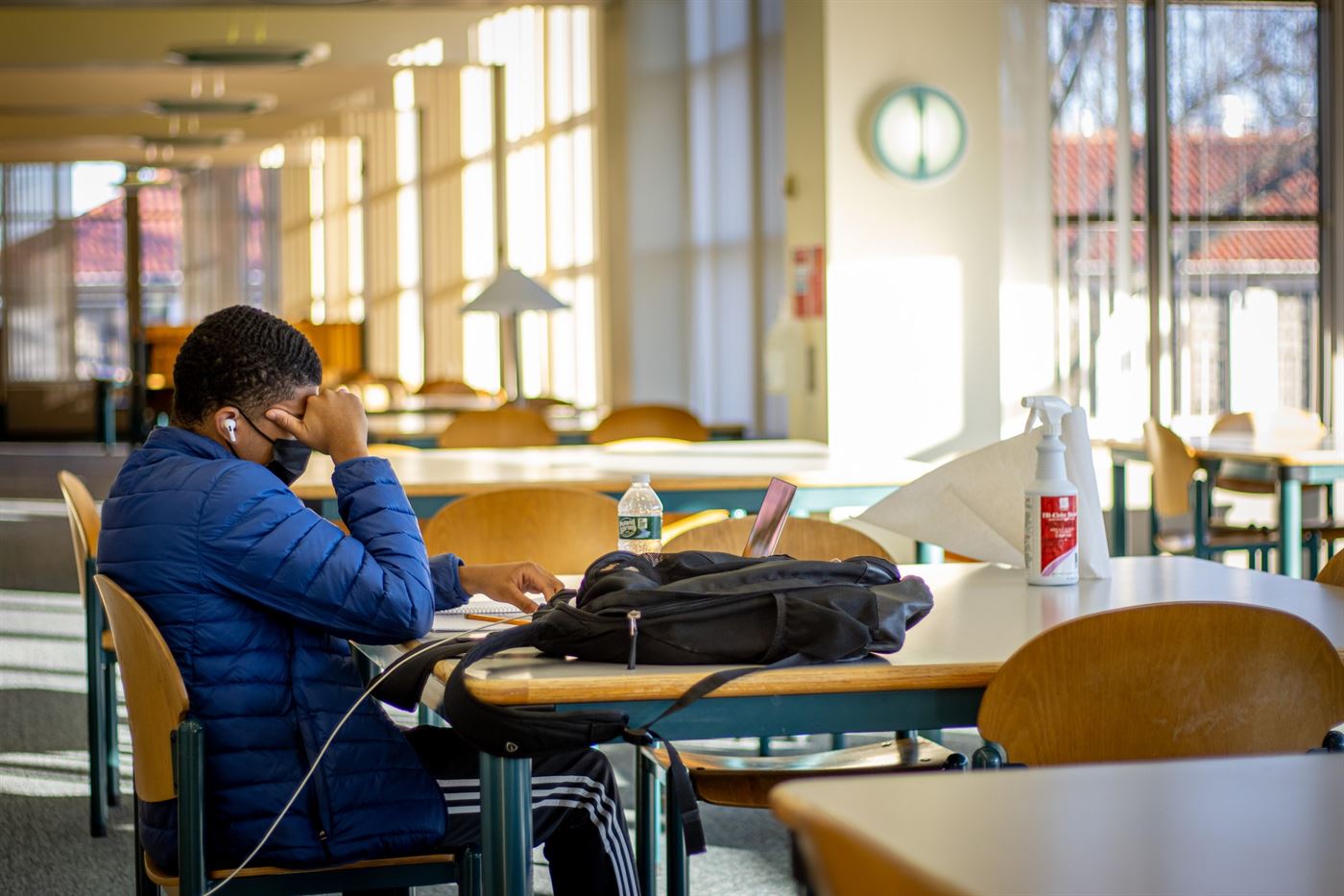 A student studying in the library, facing the windows by Cole Hall.
