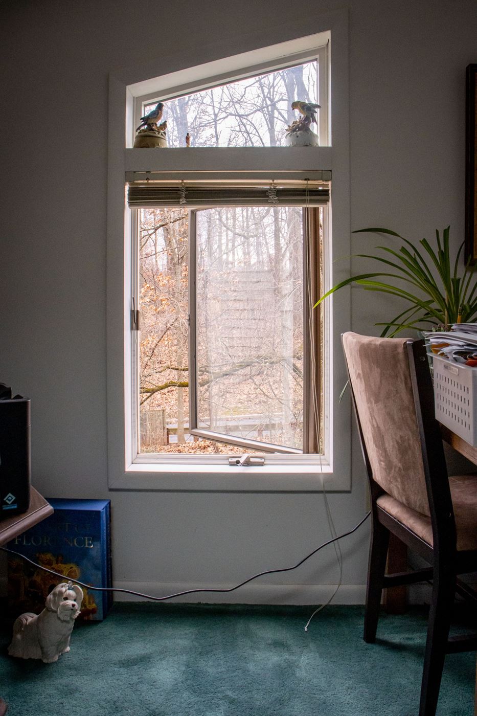 A view of Yogi Berra Drive from a study room in Pasino's home. John LaRosa | The Montclarion