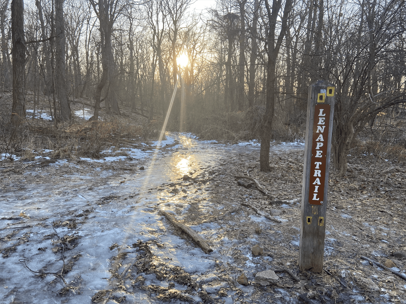 Mills Reservation is less than a five minute drive from campus. Just watch out for ice! Emma Caughlan | The Montclarion