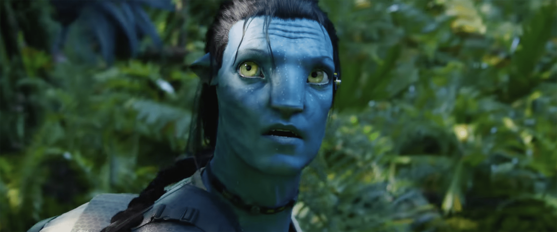 Does anyone know when the 4k blu ray of avatar will release? (already  Oktober? and also the HFR version too?) : r/4kbluray