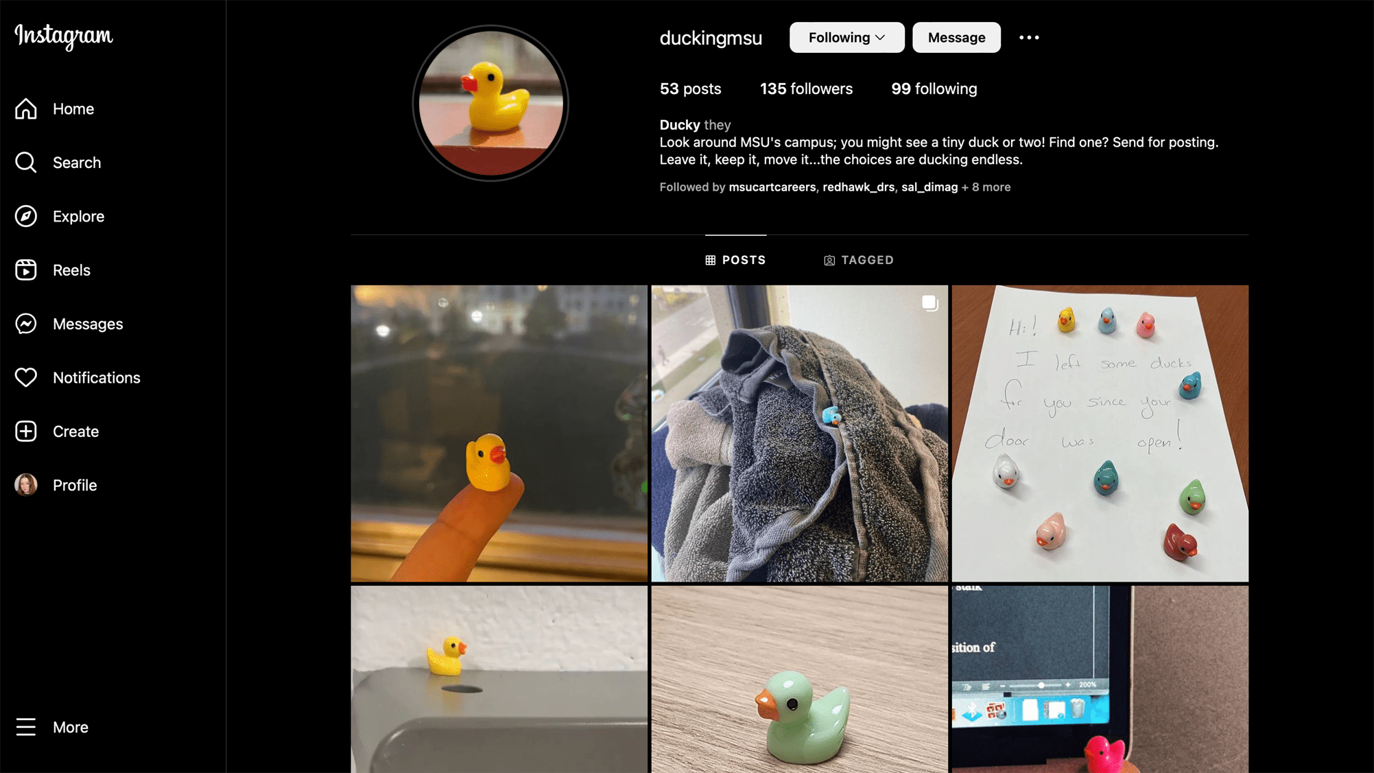 Instagram profile @duckingmsu, where Montclair State community members submit photos of ducks they found or hid.