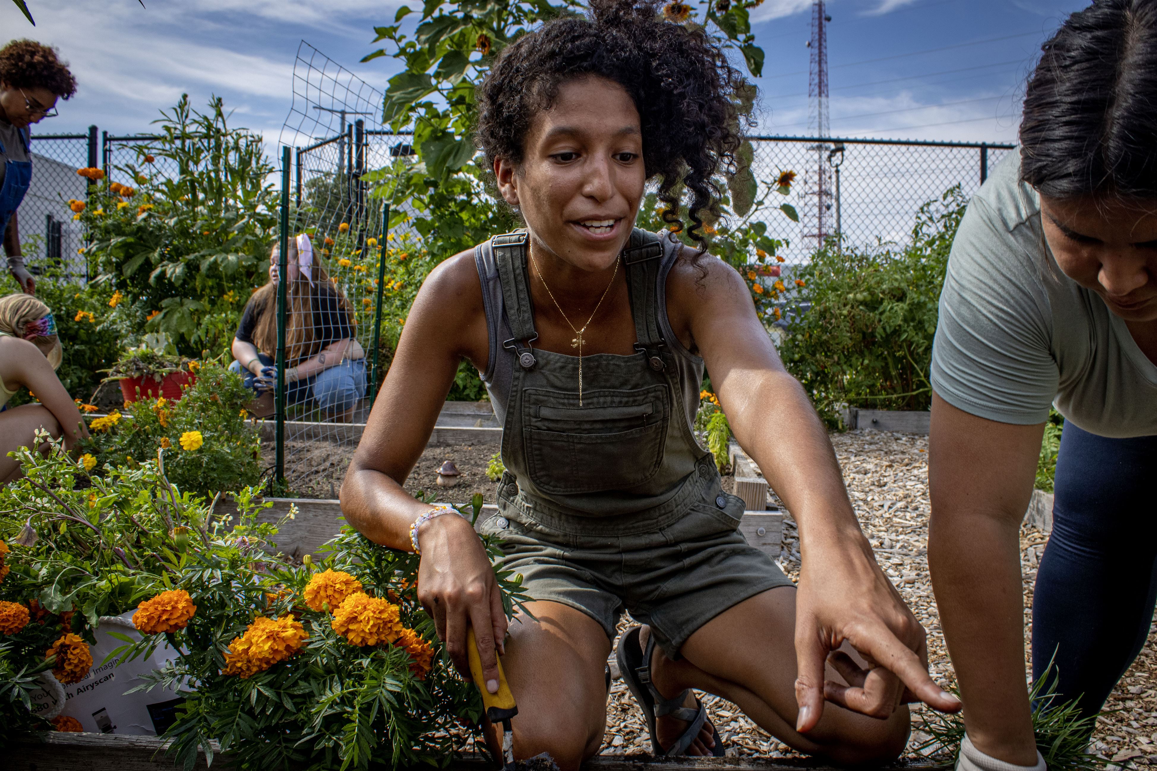 Staff member Brittney Portes, the director of the community garden, guiding students on how to properly harvest all the summer plants so they could re-plant for fall as part of their Fall Planting 101 event.
Dani Mazariegos | The Montclarion