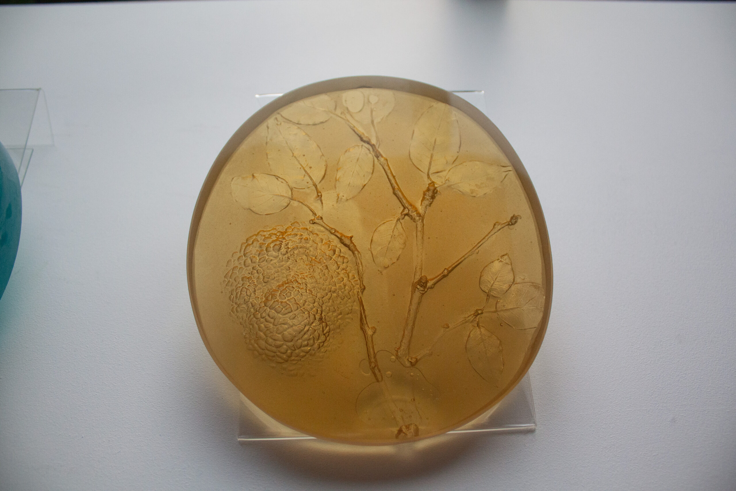 Holly Wilson’s glass medallions depicting a person [left] and a milkweed stalk [right]