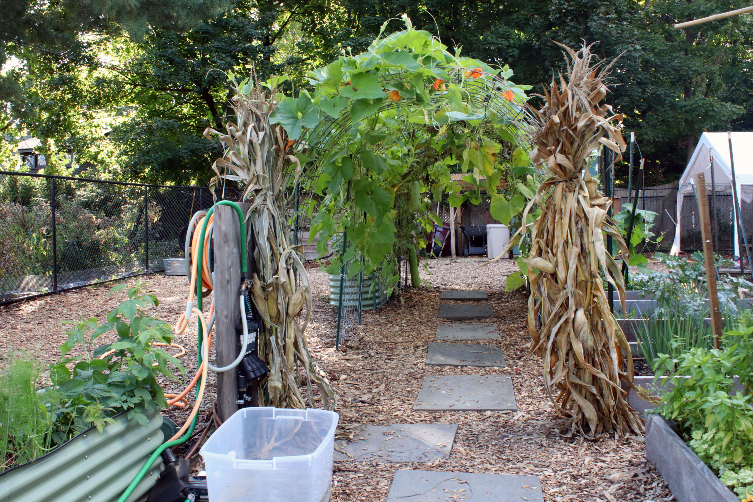 MONTCLAIR, NJ 10/09/2024 URBAN FARM IN MONTCLAIR USES REGENERATIVE FARMING TO TREAT POTENTIALLY POLLUTED SOIL: Montclair Community Farms, located in Montclair, NJ, uses regenerative farming to properly treat soil that can be contaminated with pollutants. Photo courtesy of Meagan Kane.