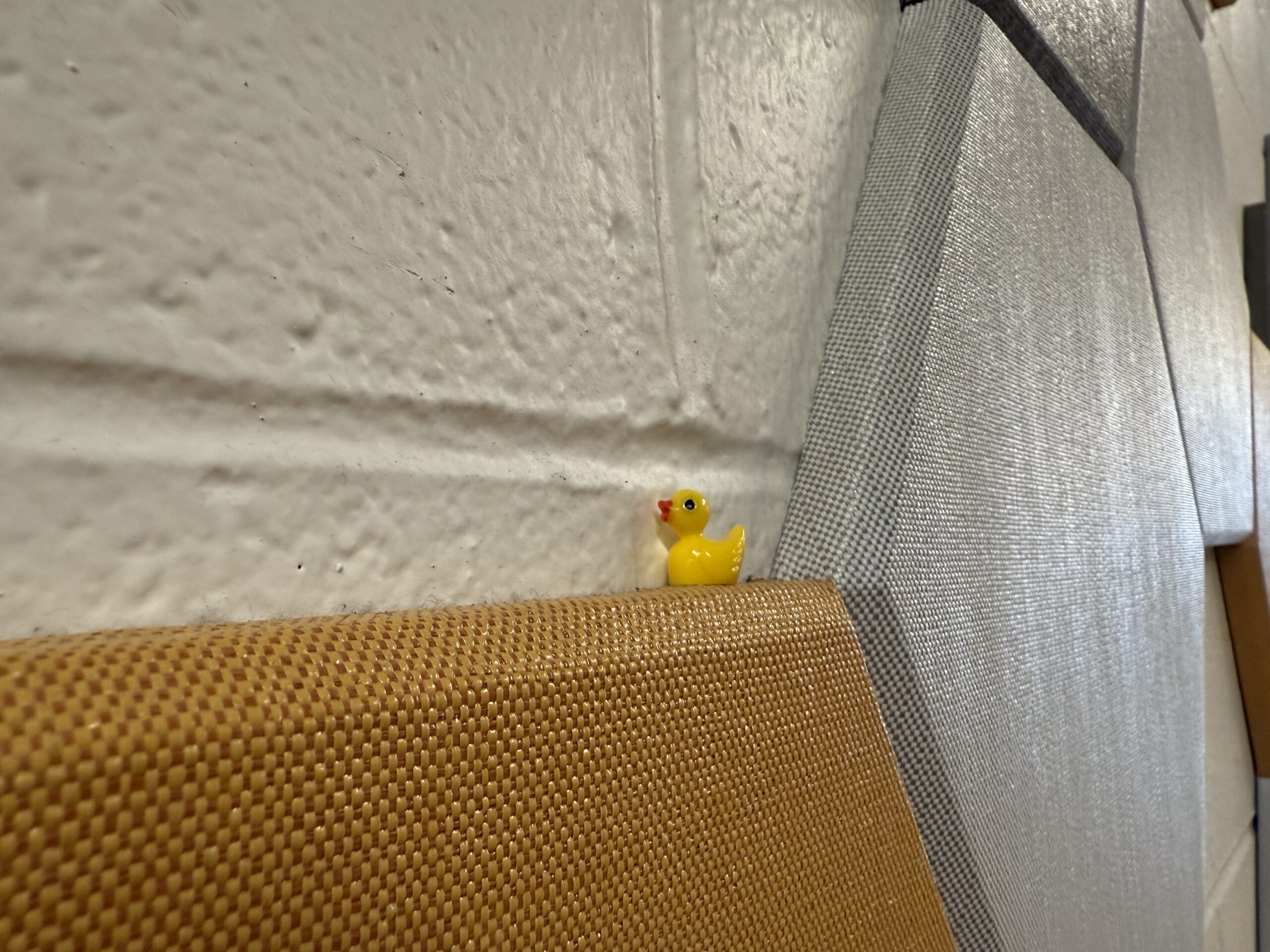A yellow plastic duck hidden in Richardson Hall. Meagan Kane | The Montclarion