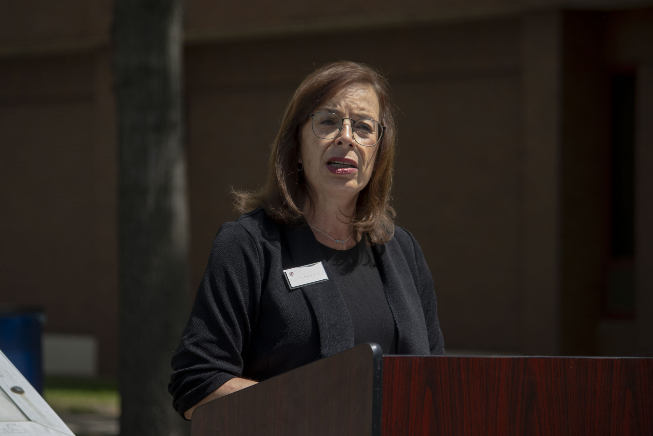 Dr. Dawn Meza Soufleris encouraging students to use mental health resources available to them.