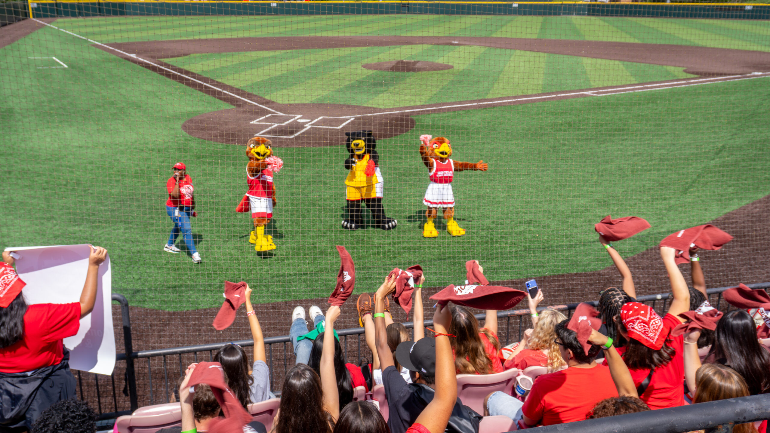 Rocky, Roxy, and Deacon rally the crowd at Yoga Berra Stadium.