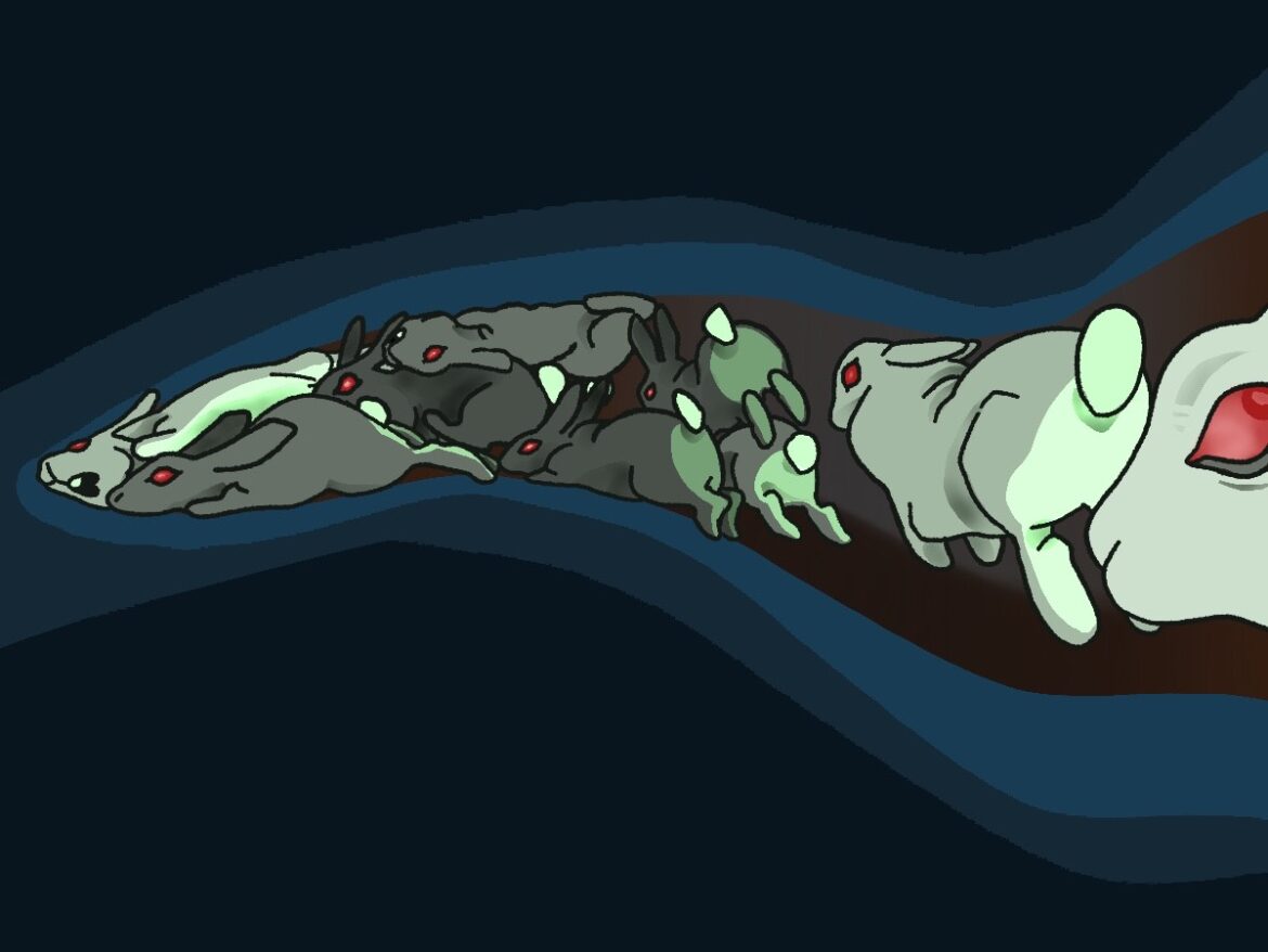 Cottontail_illus.jpg