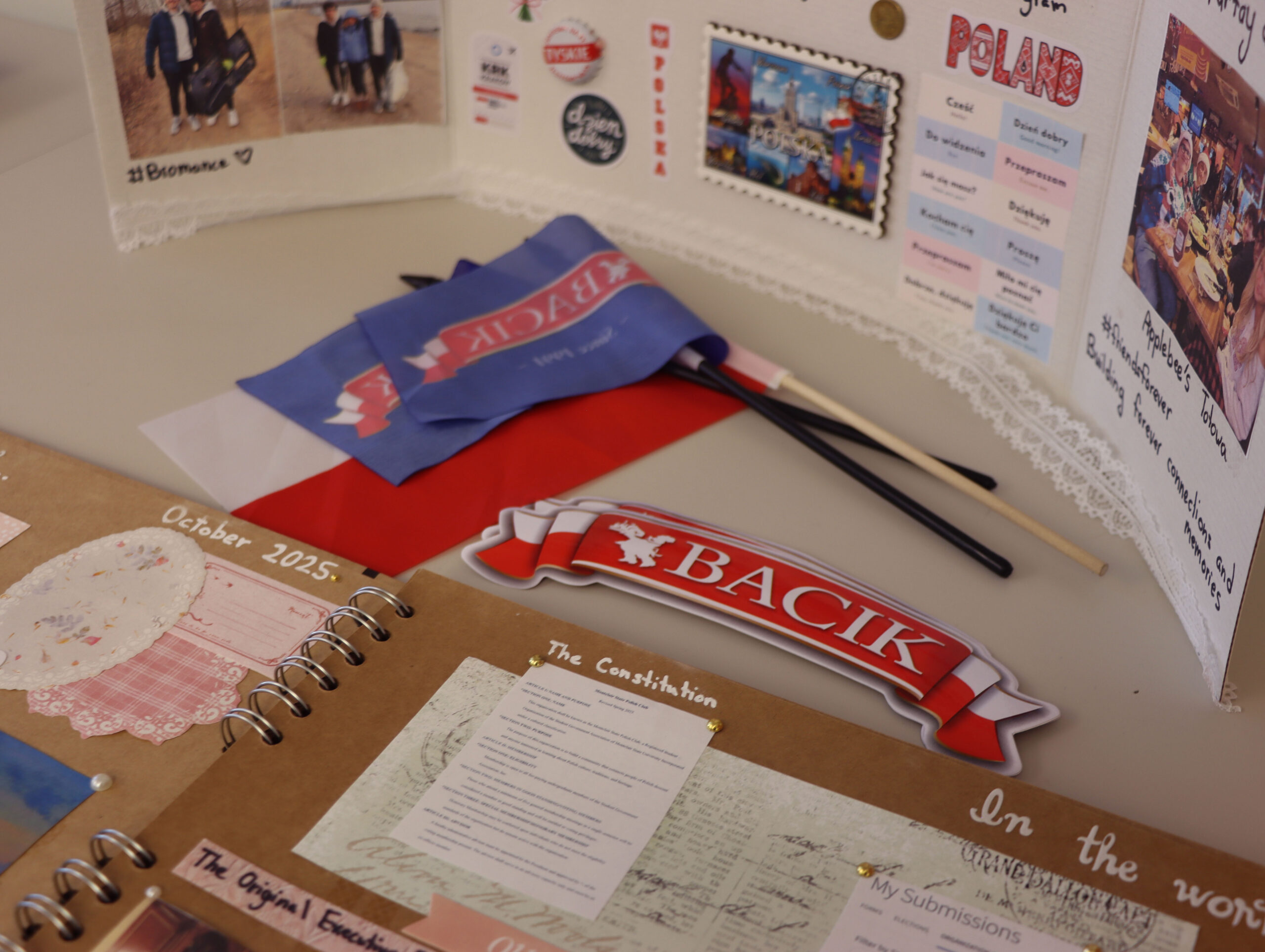 Lizbeth Gomez-Pinacho︱The Montclarion