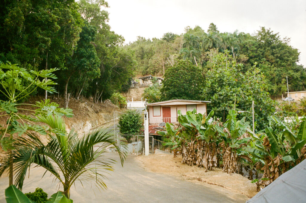 Manati, Puerto Rico. May 2023.