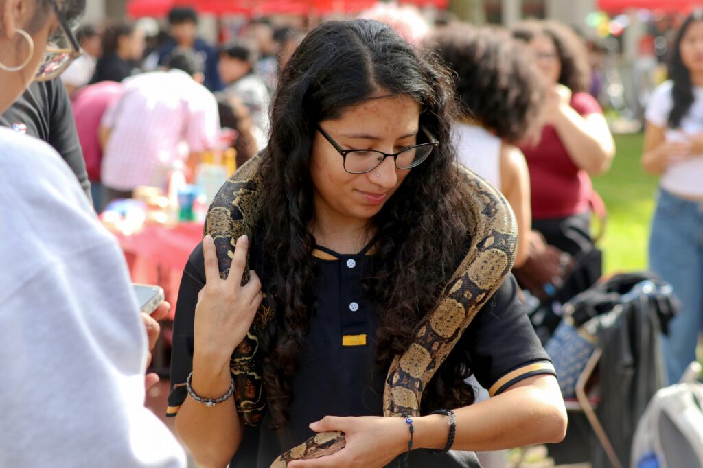 MONTCLAIR, NJ. 10-14-2026. HISPANIC HERITAGE MONTH BLOCK PARTY - BIG SNAKE: On October 14th 2026, the LASO President, Abigail Diaz, was handed the big snake to hold around her neck. The snake was only being passed around in the quad of Montclair State University and here she is seen looking at the snake wrapped around her. Photograph taken by Estefano Quispe.
